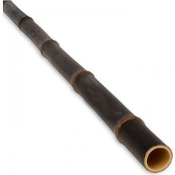 Μαύρο Μπαμπού - Bamboo Ιστός O 5-6εκ Χ 300εκ 21431