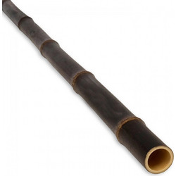 Καλάμι Bamboo Μαύρο O5-6 x 300εκ