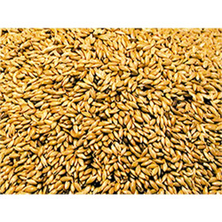 Vadigran Κεχρί Καναδά 1kg