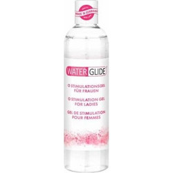 Waterglide Orgasmic Λιπαντικό Gel Νερού Κόλπου & Πρωκτού 300ml