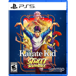 The Karate Kid Street Rumble PS5