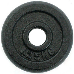 Perk Sports Δίσκος Μεταλλικός 1.25kg Φ29mm