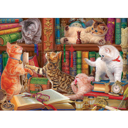 Puzzle Eurographics Library Kittens 1000 Κομμάτια