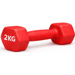 Energy GA0132KG Βαράκι Εξάγωνο Πλαστικοποιημένο 2kg