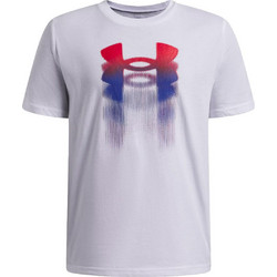 Under Armour Παιδικό T-Shirt Μακρυμάνικο Γκρι 6009280-100