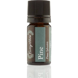 Evergetikon Αιθέριο Έλαιο Πεύκο 5ml