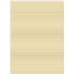 Salko Χαρτόνι Οντουλέ Εκρού 50x70cm 3900