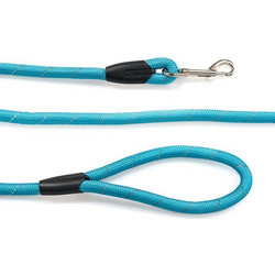 Glee Round Λουρί Σκύλου 1.83m x 12mm Τιρκουάζ
