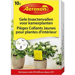 Aeroxon Εντομοπαγίδα με Κόλλα 10τμχ 36440AE
