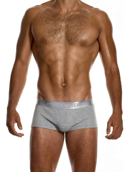 Modus Vivendi Ribbed Ανδρικό Μποξεράκι Γκρι 20622