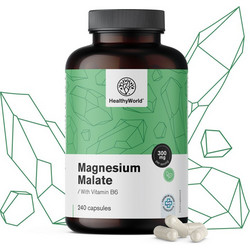 HealthyWorld Magnesium Malate 240 Κάψουλες