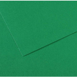 Canson Mi-Teintes Χαρτόνι Κανσόν Πράσινο 50x65cm 105322575