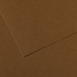 Canson Mi-Teintes Χαρτόνι Κανσόν Καφέ 21x29.7cm 105320501