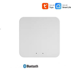 Tuya Ble Smart Hub Συμβατό με Alexa / Google Assistant