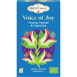 Shoti Maa Voice of Joy με Θυμάρι, Μάραθο Γλυκόριζα 16 Φακελάκια