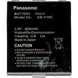 Panasonic X100