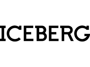 Iceberg IC17404