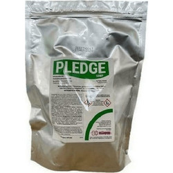 Pledge 50 WP