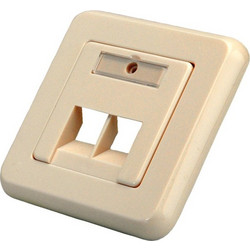 Roline Wall Outlet (81mm) 2-Port Keystone Angled Ivory 25.16.8399-20