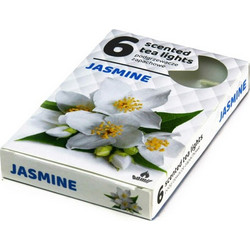 Κερί Ρεσώ Με Άρωμα Jasmine Σετ 6 Τεμαχίων