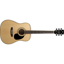 Cort AD880