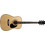 Cort AD880