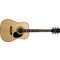 Cort AD880 Cort AD880