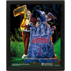 Beetlejuice (Graveyard) 3D Lenticular Poster (Framed) - EPPL71486