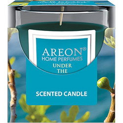 Αρωματικό κερί Areon Under the Mystic Tree 120gr