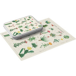 Puzzle Kokonote Botanical Cacti 100 Κομμάτια