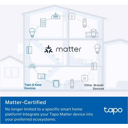 Tp-Link Mini Smart Wi-Fi Plug (Tapo P100M)