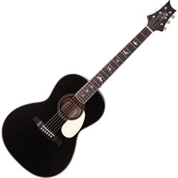 PRS Guitars SEPE20SABV