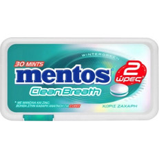 Mentos Wintergreen 21gr