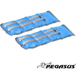 Pegasus(R) Βάρη Άκρων (1.5kg - Zεύγος)