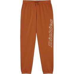 Dickies DK0A4Y3DIEX