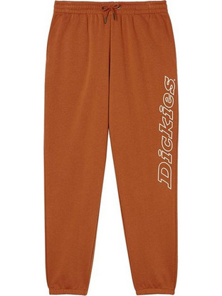 Dickies DK0A4Y3DIEX