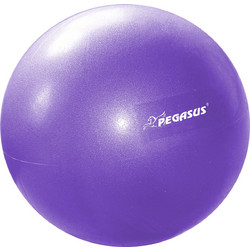 Pegasus(R) Μπάλα Γυμναστικής Pilates 25cm (Μωβ) β-1510-pl