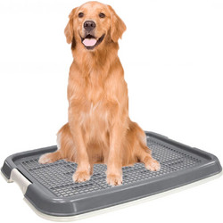 Φορητή Τουαλέτα για Κατοικίδια - Nunbell Puppy Trainer 47x34x4.5 cm