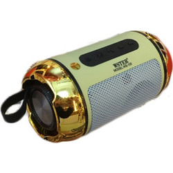 Wster WS-100 Ηχείο Bluetooth 3W με Ραδιόφωνο Πράσινο Χρυσό