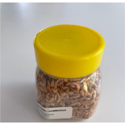 Χελωνοτροφή με Γαρίδα 150ml