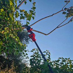 Τηλεσκοπικό Αλυσοπρίονο Μπαταρίας 18V 15cm με Κοντάρι 2.6m 1x2.0Ah Maxergo