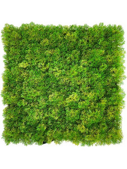 ΠΑΝΕΛ ΦΥΛΛΩΣΙΑΣ MOSS 50 Χ 50 A509 NewPlan