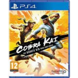 Cobra Kai The Karate Kid Saga Continues PS4