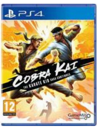 Cobra Kai The Karate Kid Saga Continues PS4
