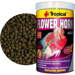 Tropical Flower Horn Adult 1lt