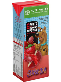 Nutri Valley Scooby-Doo Φρουτοποτό Κόκκινα Φρούτα 250ml