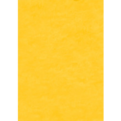 ΤΣΟΧΑ WEROLA HOBBY FELT 20X30 10Φ 72 GOLDEN YELLOW