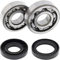 ALL BALLS Crankshaft Bearing & Oil Seal Kit