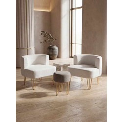 Wing Chair & Pouffe Set (3 Pieces) Elegance - White White, Mink Fabric: Polyester / Teddy