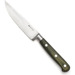Comas Μαχαίρι Steak 18/10 Με Ξύλινη Λαβή Pakka Green
